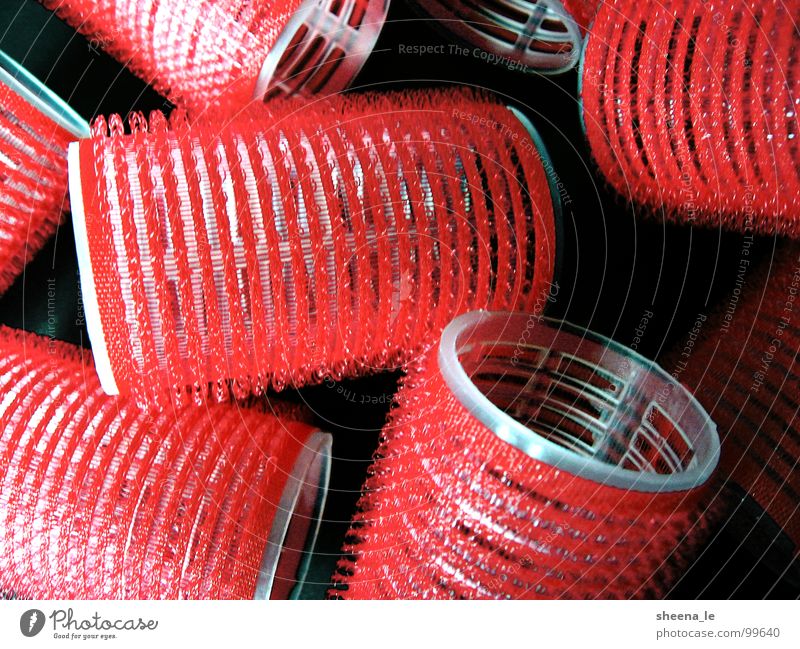 Curls wrap yourselves! Beautiful Hair and hairstyles Cosmetics Red Hair curlers velcro Hairdresser Brash wittily Close-up Macro (Extreme close-up)