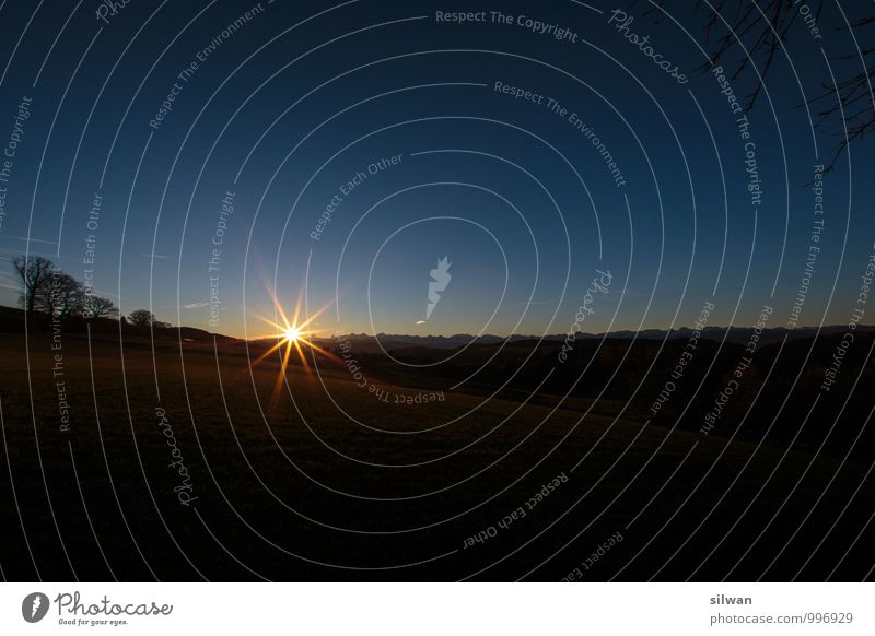 Sun - Star * Landscape Sky Horizon Sunrise Sunset Sunlight Winter Beautiful weather Tree Mountain Peak Glittering Cold Power Future Esthetic Marvelous Lighting