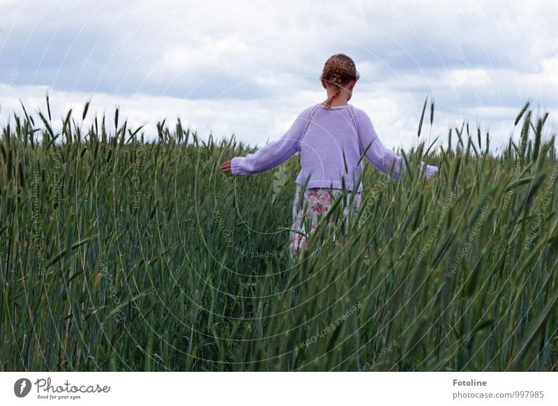 in summer Human being Feminine Child Girl Body Hair and hairstyles Back Arm 1 Environment Nature Sky Clouds Summer Plant Agricultural crop Field Free Natural