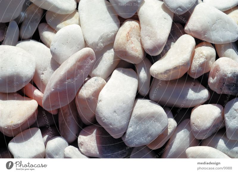 stone Pebble Beach Stone Detail Shadow close view