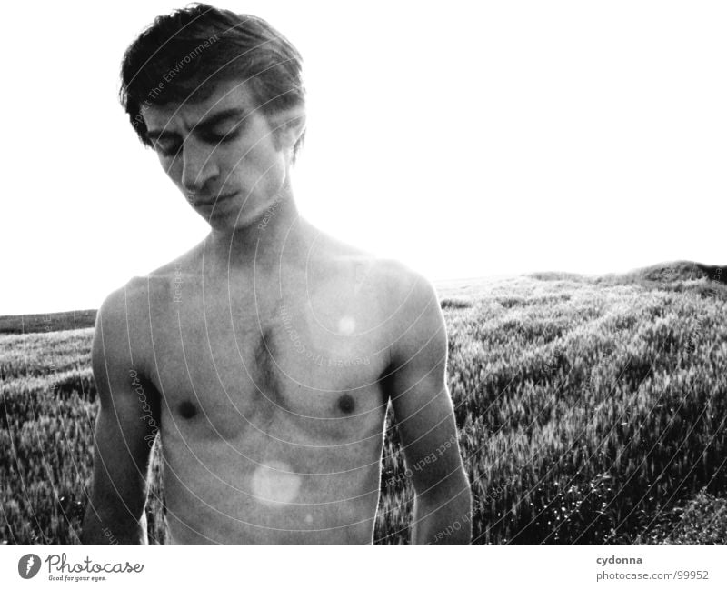 summer breeze II Portrait photograph Man Identity Uniqueness Light Think Dark Silhouette Field Summer Upper body Naked Fellow Earnest Black & white photo